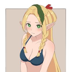 This is a pixiv picture whose title is ダンジョン飯 マルシル.