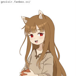 This is a pixiv picture whose title is Spice and Wolf - Holo.