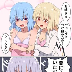 This is a pixiv picture whose title is スカーレット姉妹に挟まりたい咲夜.