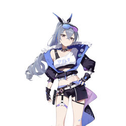 This is a pixiv picture whose title is 银狼.