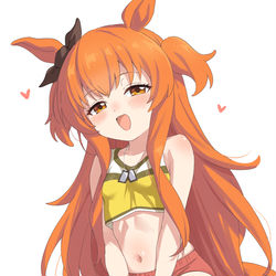 This is a pixiv picture whose title is 愛馬.