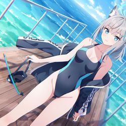 This is a pixiv picture whose title is 水着シロコ.