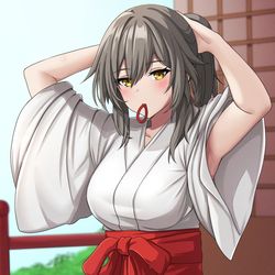 This is a pixiv picture whose title is Miko Stelle.