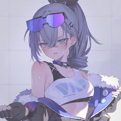 This is a pixiv picture whose title is 銀狼.