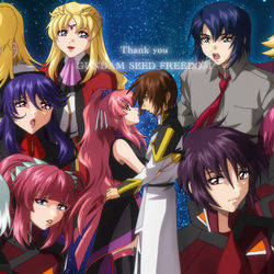 This is a pixiv picture whose title is 種自由フィナーレイラスト.