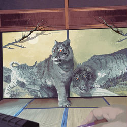This is a pixiv picture whose title is フスマトトラ.