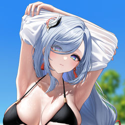 This is a pixiv picture whose title is 申鶴.