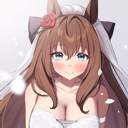 This is a pixiv picture whose title is 今年の花嫁予想マルゼンスキー！.