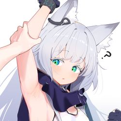 This is a pixiv picture whose title is ロスモンティスの横側.