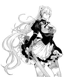 This is a pixiv picture whose title is メイド姿のソニアさん.