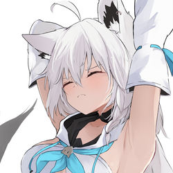 This is a pixiv picture whose title is ふぶきちゃん.
