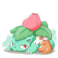 This is a pixiv picture whose title is 雨宿り.