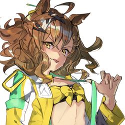 This is a pixiv picture whose title is ジャングルポケット.