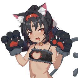 This is a pixiv picture whose title is neko.