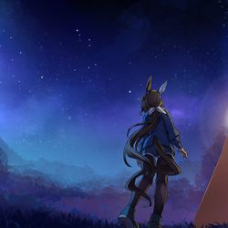 This is a pixiv picture whose title is アドマイヤベガ.
