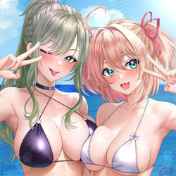 This is a pixiv picture whose title is いえーい、ぴすぴすｖ.