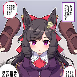 This is a pixiv picture whose title is レジェンドレースの後：ダイイチルビー.