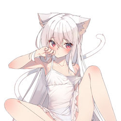 This is a pixiv picture whose title is 白猫ちゃん.