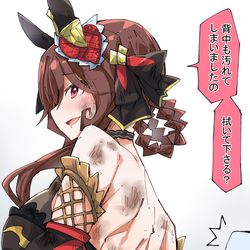 This is a pixiv picture whose title is レース後のジェンティルドンナ.
