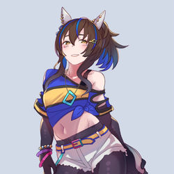 This is a pixiv picture whose title is 長手袋ヘリオス.
