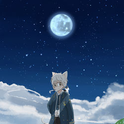 This is a pixiv picture whose title is 月明りの草原.