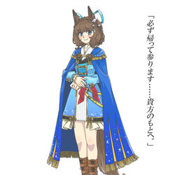 This is a pixiv picture whose title is 永遠なる砂の女王.
