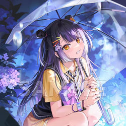 This is a pixiv picture whose title is 海妹四葉さん誕生日.