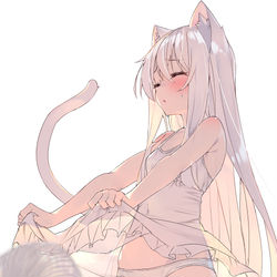 This is a pixiv picture whose title is 白猫ちゃん.