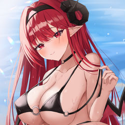 This is a pixiv picture whose title is ヒンデンブルグさん.