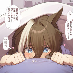 This is a pixiv picture whose title is 朝起きたらなぜか布団の中で爆発寸前になってるシュヴァルちゃん.