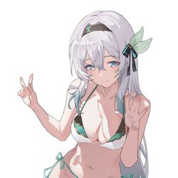 This is a pixiv picture whose title is 流萤.