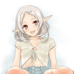 This is a pixiv picture whose title is シルフィエット.