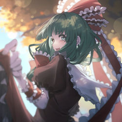 This is a pixiv picture whose title is 鍵山雛.