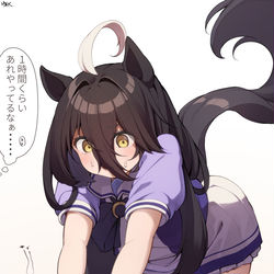 This is a pixiv picture whose title is 飼いならされすぎて野生を忘れてるニャンハッタンカフェ.