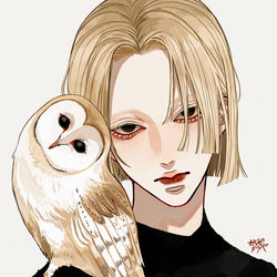 This is a pixiv picture whose title is メンフクロウ.