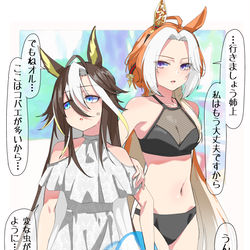 This is a pixiv picture whose title is 姉妹で海水浴.