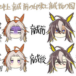 This is a pixiv picture whose title is 姉上育成前の印象と育成後の図.