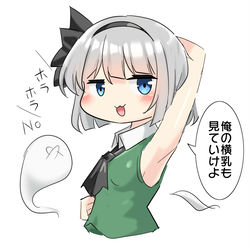 This is a pixiv picture whose title is 妖夢くんの横乳.