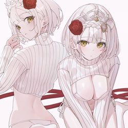 This is a pixiv picture whose title is ノエル.