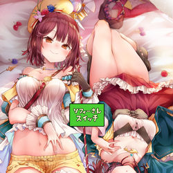 This is a pixiv picture whose title is [Web再録]ソフィーさんスイッチ.