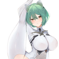 This is a pixiv picture whose title is 柔度.
