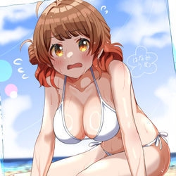 This is a pixiv picture whose title is 水着の季節.