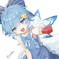 This is a pixiv picture whose title is チルノ.