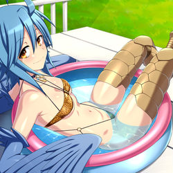 This is a pixiv picture whose title is Pool Papi.