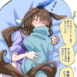 This is a pixiv picture whose title is 熟睡アヤベさん.