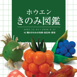 This is a pixiv picture whose title is 【booth再販中】　C104新刊　ホウエンきのみ図鑑.