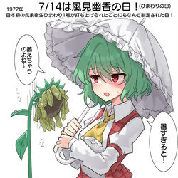 This is a pixiv picture whose title is 7/14は風見幽香の日！(ひまわりの日).