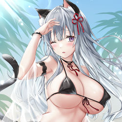 This is a pixiv picture whose title is ねこさん夏　過去絵.