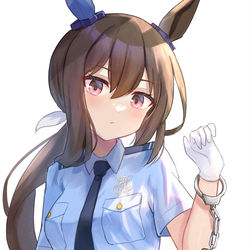 This is a pixiv picture whose title is 婦警アヤベさん.