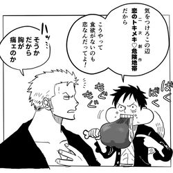 This is a pixiv picture whose title is 腐向け　ルゾロ11.